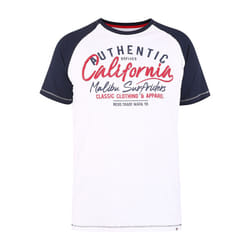 Duke Mens D555 Sparrow California Surf Riders Printed Kingsize Raglan T-Shirt - 6XL, Off White Marl