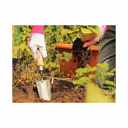 Kent & Stowe Hand Transplanting Trowel, Fsc