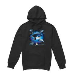 Star Trek Mens Starfleet Vessels Hoodie - XL, Black