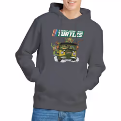 Teenage Mutant Ninja Turtles Mens Van Hoodie - L, Charcoal