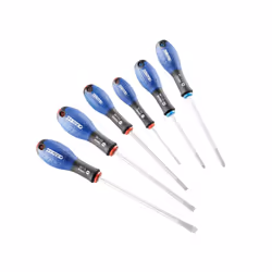 Expert Screwdriver Set, 6 Piece