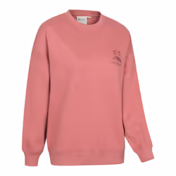 Mountain Warehouse Womens/Ladies Lake District Graphic Sweatshirt - 18 UK, Light Pink
