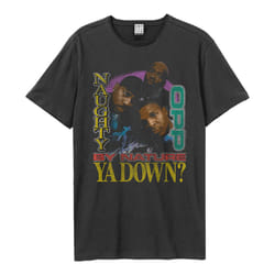 Amplified Unisex Adult Hip Hop Hooray Naughty By Nature T-Shirt - XS, Charcoal
