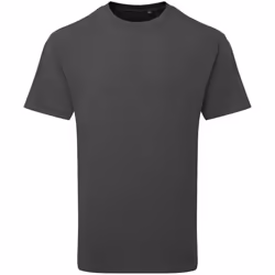 Anthem Unisex Adult Heavyweight T-Shirt - XS, Carbon