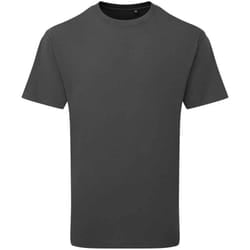 Anthem Unisex Adult Heavyweight T-Shirt - XS, Carbon