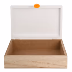 Petit Cheri Dinosaur Keepsake Box - Dinosaur Names