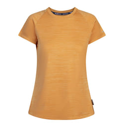 Trespass Womens/Ladies Vickland TP75 Active T-Shirt - M, Amber Glow Marl