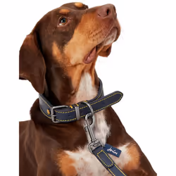 Rosewood Joules Leather Dog Lead