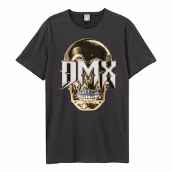 Amplified Unisex Adult 3D Skull DMX T-Shirt - XS, Charcoal