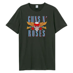 Amplified Unisex Adult Skull 25 Guns N Roses T-Shirt - XS, Charcoal