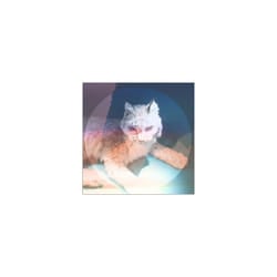 Simian Ghost  Lovelorn Ep CD