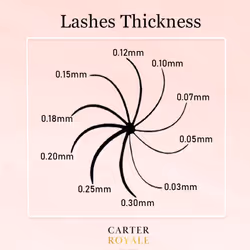 Carter Royal Russian Volume Silk Lashes Individual Eyelash Extensions Ultra-lightweight With Superior Curl Retention Easy Fan Lashes Curl Eyelashes 16