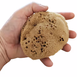 Natural Sea Sponge - Silk Luxuriously Soft Unbleached Bathing Sponge with Super High Absorbancy for All Skin Types (4-4.5"/10 ...