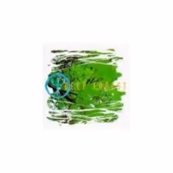 Deep Forest CD