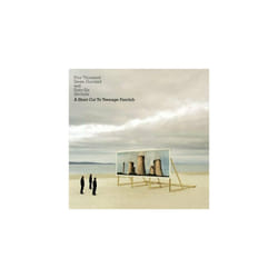Teenage Fanclub  4766 Seconds - A Short Cut To Teenage Fa CD Quality guaranteed