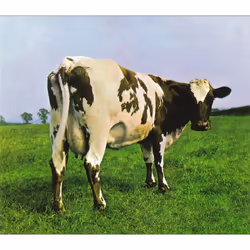 Warner Music Atom Heart Mother (Discovery), Prog rock, CD, Pink Floyd, Physical media, Warner Music, Atom Heart Mother If Sum ...