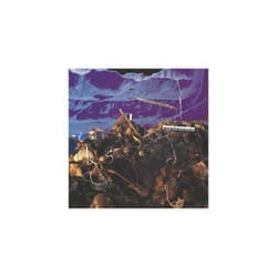 Late Of The Pier  Fantasy Black Channel CD (2008)