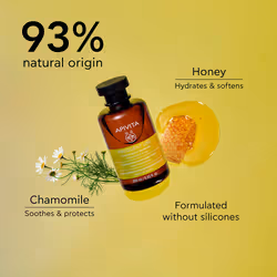 Daily Use Gentle Shampoo Moisturizes, provides softness and elasticity 250 ml