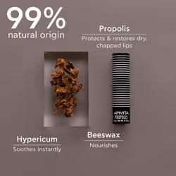 Lip Balm with propolis for dry and chapped lips 4.4 gr