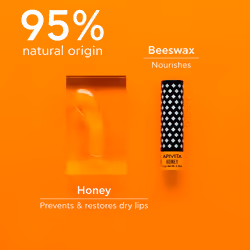 Lip Balm with honey moisturizes and restores dry lips 4.4 gr