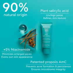 Just Bee Clear Anti-Imperfections Mattifying Moisturizing Gel-Cream for Oily Skin 40 ml