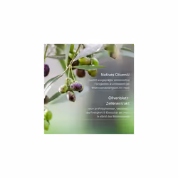 Pure Greek Olive Natural Olive Blossom Soap, Vegan