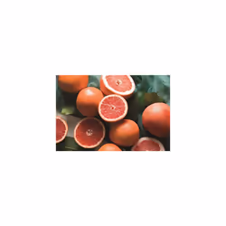 Korres Care Grapefruit Body BB milk 200 ml White - Additional view 4