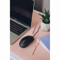 Canyon M-10 mouse Office Ambidextrous USB Type-A Optical 1000 DPI - Additional view 8