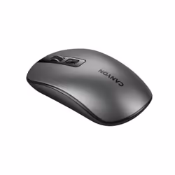 Canyon CNS-CMSW18DG mouse Office Ambidextrous RF Wireless Optical 1600 DPI