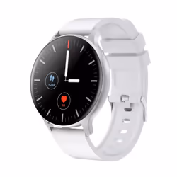 Canyon CNS-SW68SS smartwatch / sport watch LCD Digital Touchscreen Silver