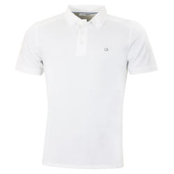 Calvin Klein Mens 2025 Campus 3 Button Ribbed Collar Golf Polo Shirt