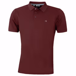 Calvin Klein Mens 2021 Campus 3 Button Light Ribbed Collar Golf Polo Shirt - M, Burgundy