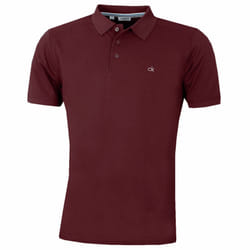 Calvin Klein Mens 2025 Campus 3 Button Ribbed Collar Golf Polo Shirt - XL, Burgundy