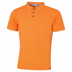 Calvin Klein Mens 2025 Campus 3 Button Ribbed Collar Golf Polo Shirt