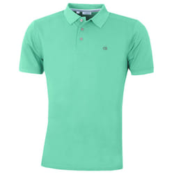 Calvin Klein Mens 2021 Campus 3 Button Light Ribbed Collar Golf Polo Shirt - 3XL, Mint