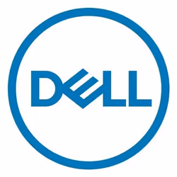 DELL 461-AAEN trusted platform module (TPM) 2.0