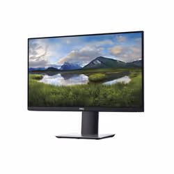 DELL P2421DC LED display 60.5 cm (23.8") 2560 x 1440 pixels Quad HD LCD Black