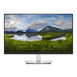 DELL 32 USB-C Monitor - P3221D