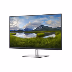 DELL 32 USB-C Monitor - P3221D