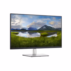 DELL 32 USB-C Monitor - P3221D