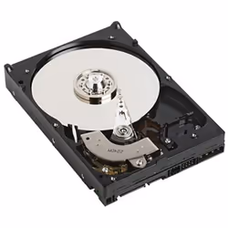 DELL NPOS - to be sold with Server only - 1TB 7.2K RPM SATA 6Gbps 512n 3.5in Cabled Hard Drive, 1 TB, 7200 RPM, 3.5", Serial  ...