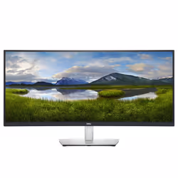 DELL P Series 34 Curved USB-C Monitor – P3421W, 86.7 cm (34.1"), 3440 x 1440 pixels, Quad HD, LCD, 8 ms, Silver