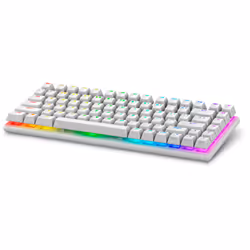 Alienware Pro Wireless Gaming Keyboard, 75%, Wired & Wireless, USB + RF Wireless + Bluetooth, Mechanical, RGB LED, White