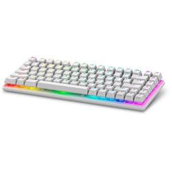 Alienware Pro Wireless Gaming keyboard USB + RF Wireless + Bluetooth White