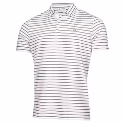 Calvin Klein Mens 2024 Silverstone Moisture Wicking Quick Dry Golf Polo Shirt - M, White/Evening Blue