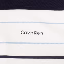 Calvin Klein Mens 2024 Eagle Moisture Wicking Lightweight Golf Polo Shirt - L, White