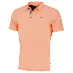 Calvin Klein Mens Prep Campus Oxford Pique Golf Polo Shirt - S, Orange