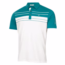 Calvin Klein Mens 2025 Pinebrook Moisture Wicking Technical Golf Polo Shirt - M, White