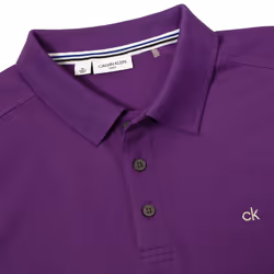 Calvin Klein Mens 2025 Campus 3 Button Ribbed Collar Golf Polo Shirt - L, Purple