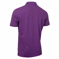 Calvin Klein Mens 2025 Campus 3 Button Ribbed Collar Golf Polo Shirt - XXXXL, Purple